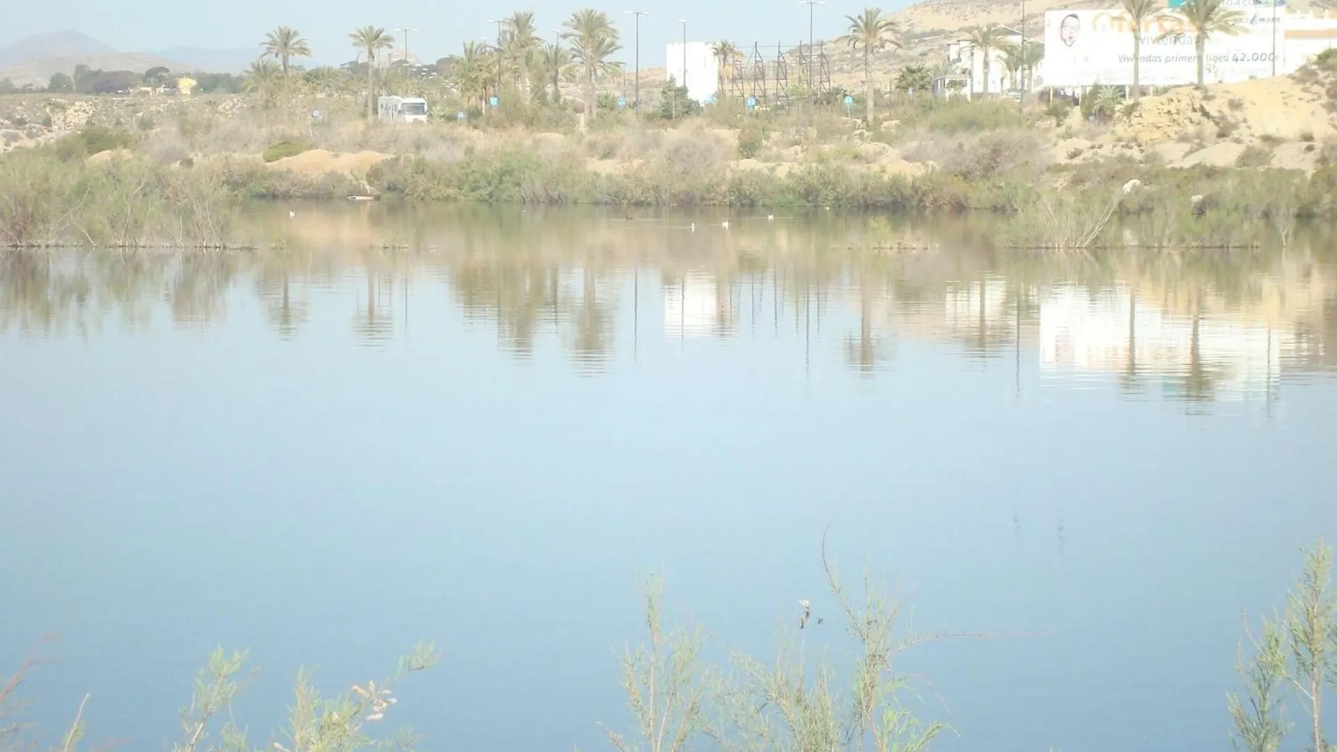 Ground Floor Naturist Studio With Terrace Playas de Vera